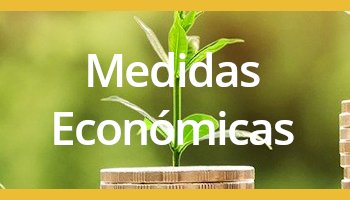 Medidas-Economicas