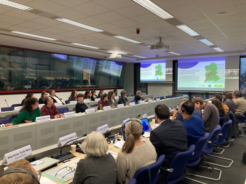 Reunión Cross Border Observatories