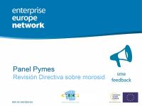 Panel de Pymes sobre la revisión de la Directiva sobre morosidad