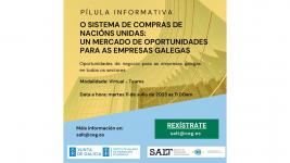 Pílula online sobre “O sistema de compras de Nacións Unidas: Un mercado de oportunidades para as empresas galegas”