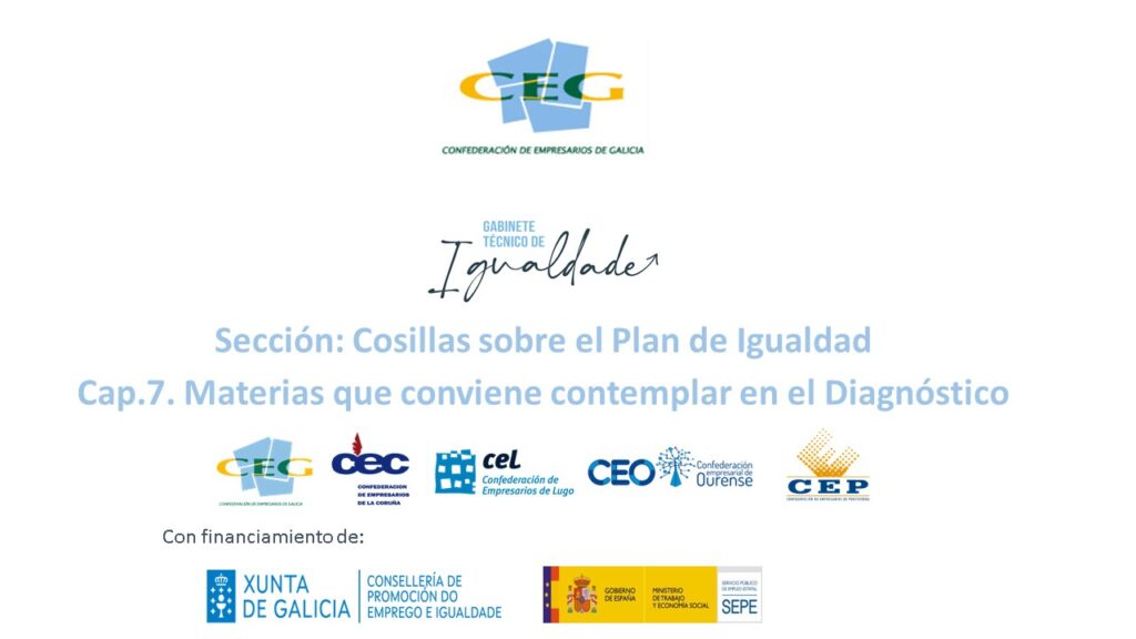 Sección: Cosillas sobre el Plan de Igualdad.  Cap.7. Materias que conviene contemplar en el Diagnóstico.