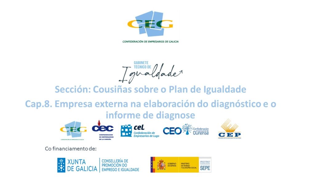 Sección:  Cousiñas sobre o Plan de Igualdade  Cap.8. Empresa externa na elaboración do diagnóstico e o informe de diagnose.  
